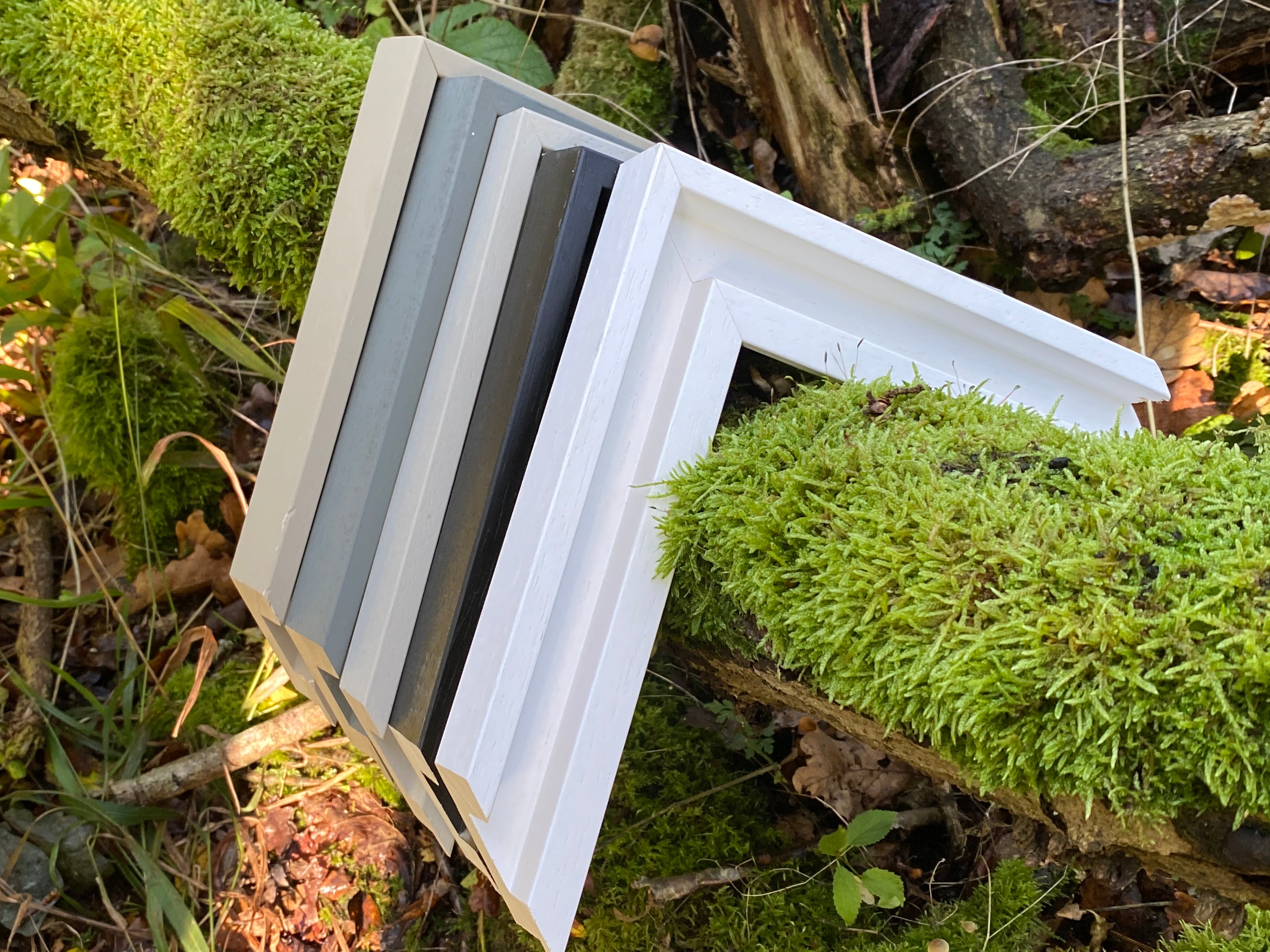 Mini Chunky St Ives 45MM Forest Frames