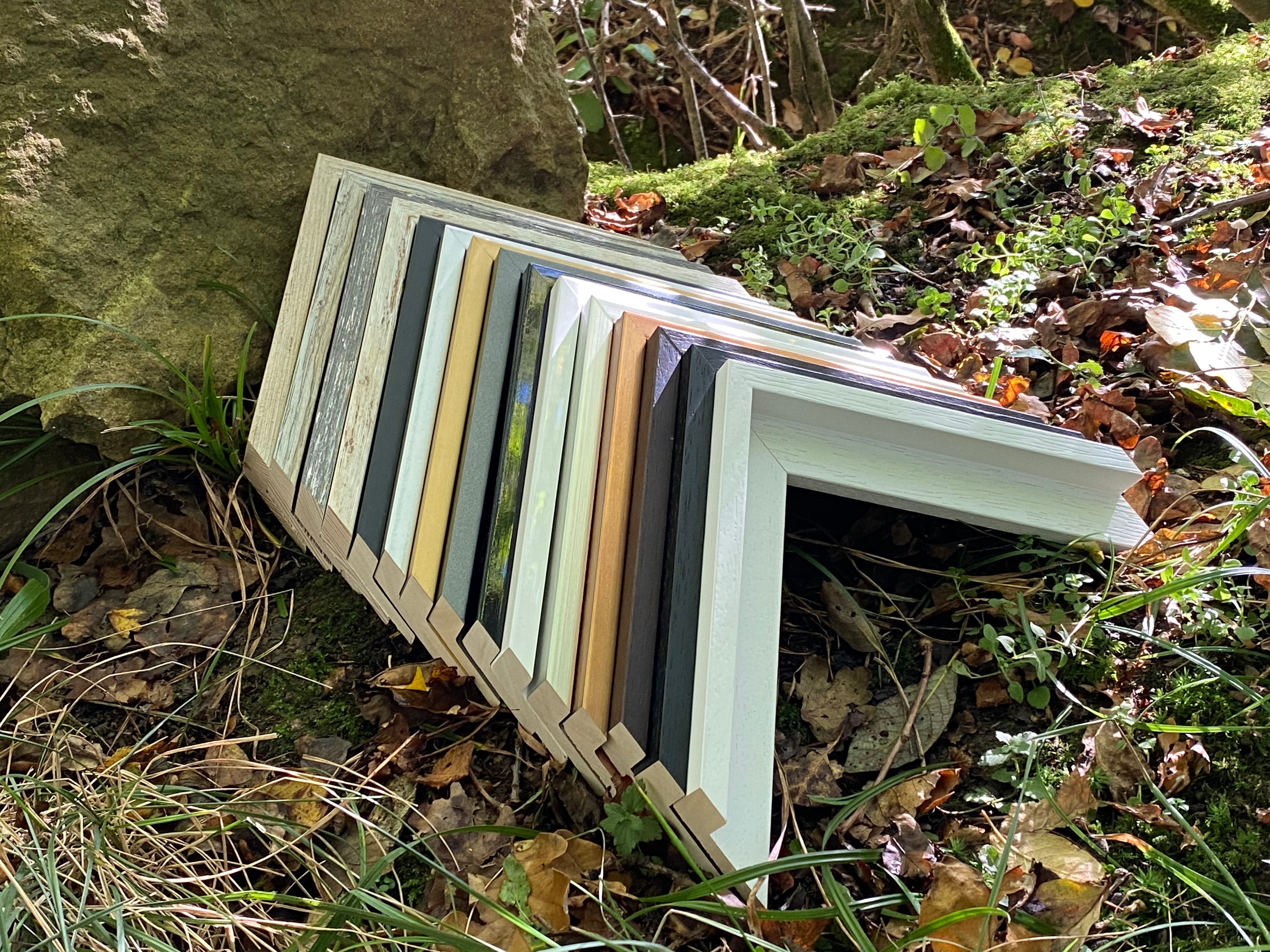 Tray Frame Collection – Forest Frames