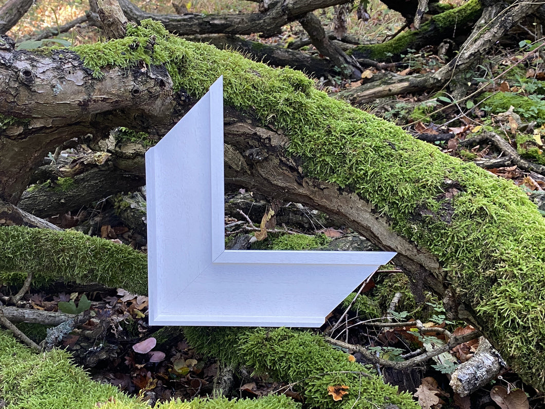 Forrest Frame Forest Frames – Forest Frames