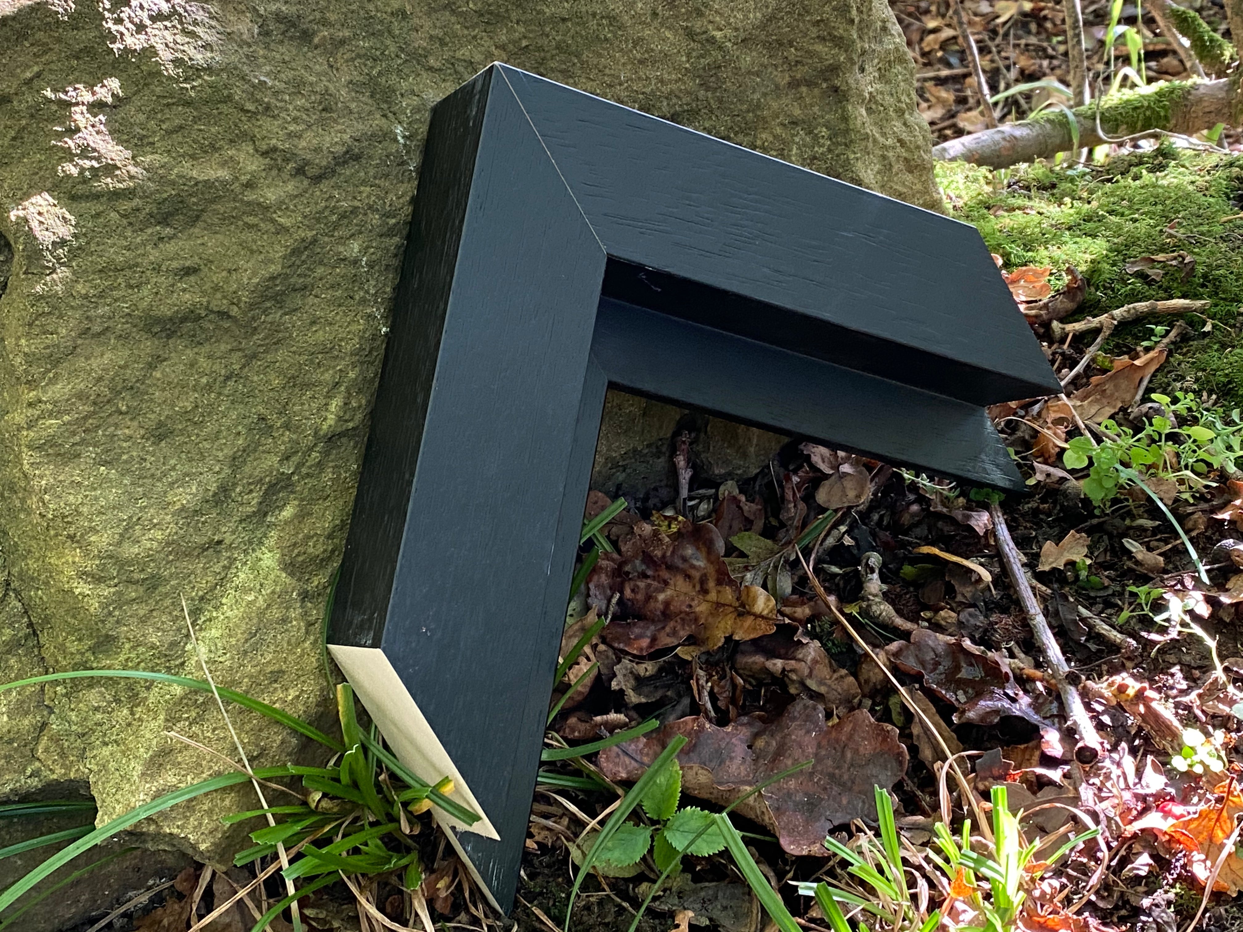 Tray Frame 50MM Black – Forest Frames